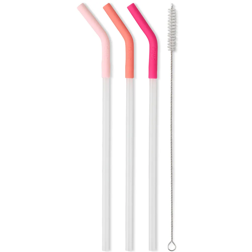 Swig Life Lids, Straws + More|Mega Mugs^Blush/Coral/Hot Pink Reusable Straw Set Mega Mugs