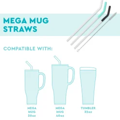 Swig Life Lids, Straws + More|Mega Mugs^Blush/Coral/Hot Pink Reusable Straw Set Mega Mugs
