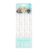 Swig Life Lids, Straws + More|Cowgirl Coquette^Cowgirl Coquette Straw Topper Set