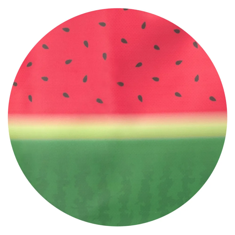 Swig Life Lunchware|Sips For Kids^Melon Slice Lunchi Lunch Bag